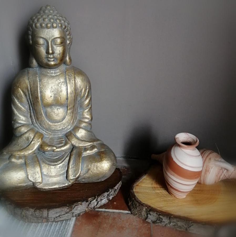 Ferolles Jacuzzi Massage Sur Rdv,Duo,Reiki,Californien, Reflexologie Plantaire, Et Bouteille Mousseux Offerte B&B 외부 사진