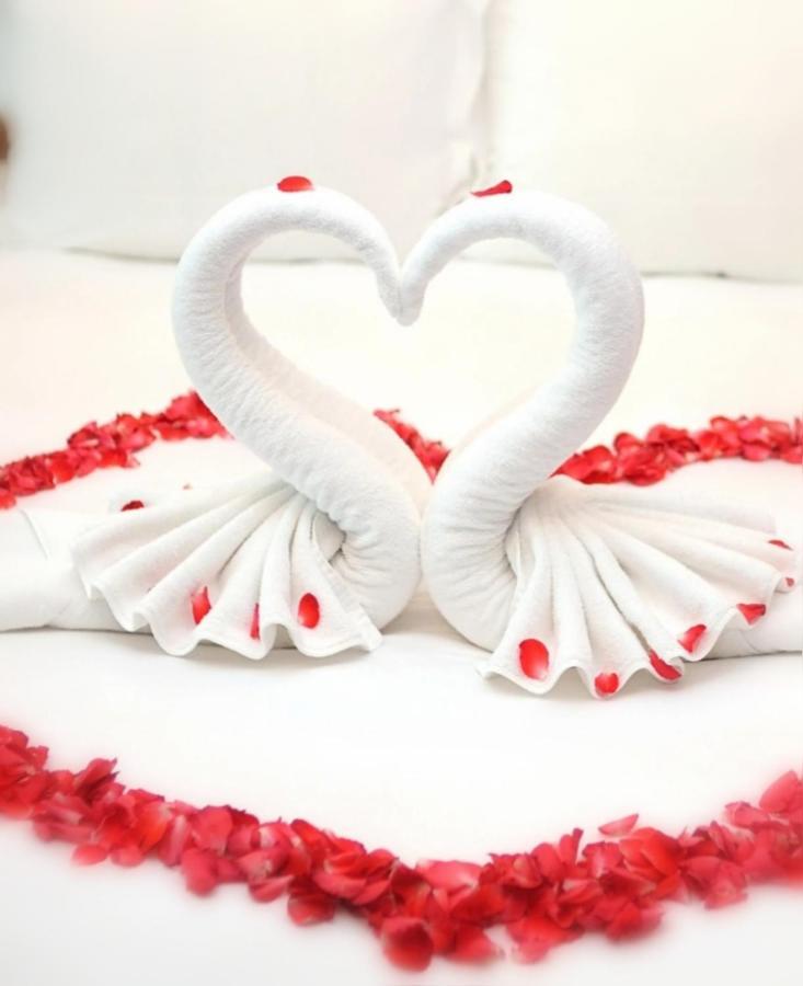 Ferolles Jacuzzi Massage Sur Rdv,Duo,Reiki,Californien, Reflexologie Plantaire, Et Bouteille Mousseux Offerte B&B 외부 사진